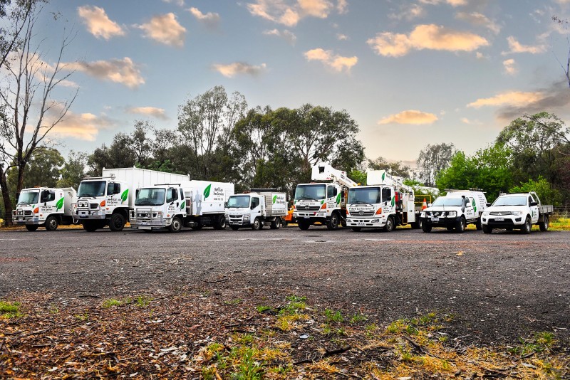 North East Tree Services Vehicle Fleet