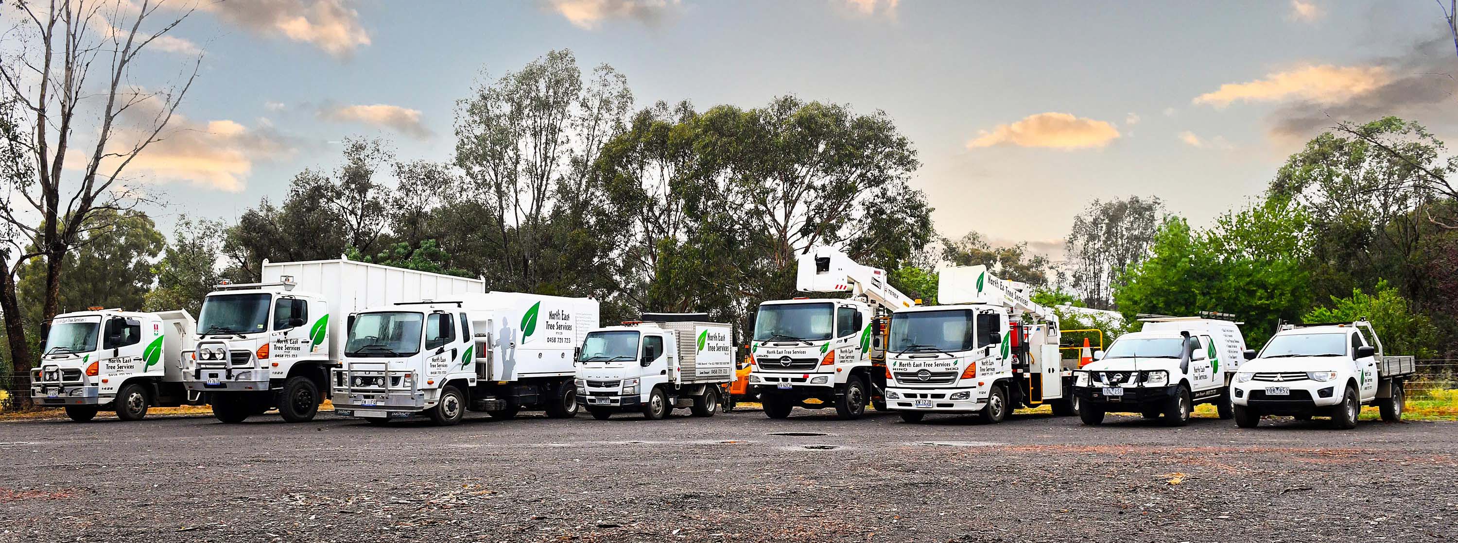 North East Tree Services Fleet